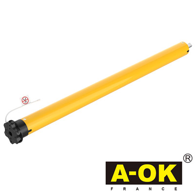 Moteur radio AOK 30 Nm - 60 kg
